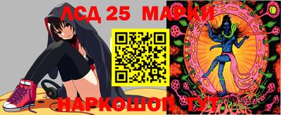 стафф Новодвинск