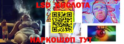 стафф Новодвинск