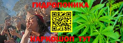 крисы Обнинск